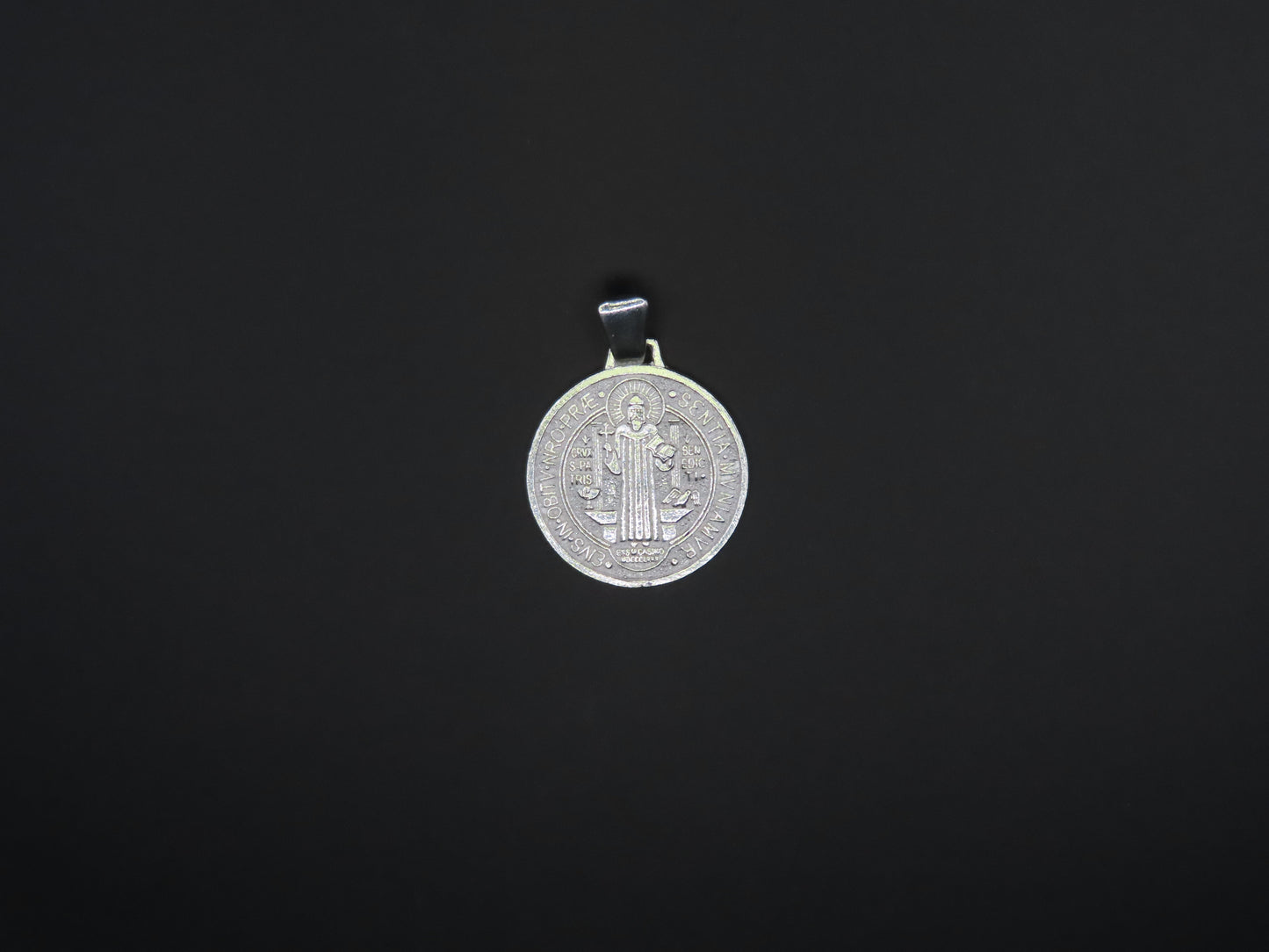SAN BENITO PENDANT(small)